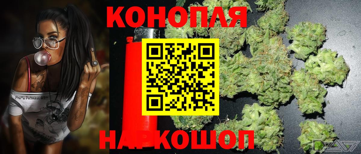 Бошки марихуана MAZAR Карачаевск